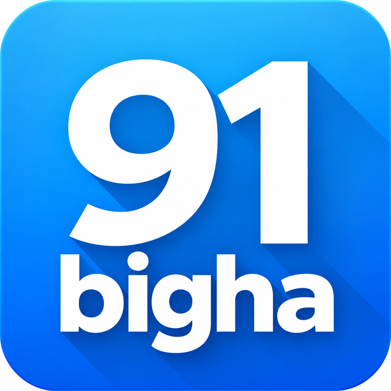 91Bigha